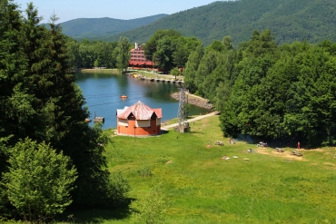 Mogoșa
